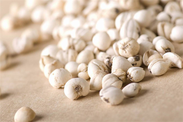 綠生藥業 專注天然養身，科技賦能保健食品新未來